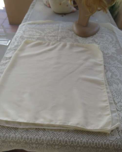 Soft sheer cream luxury scarf. Size 170cm x 47cm. As new condition.