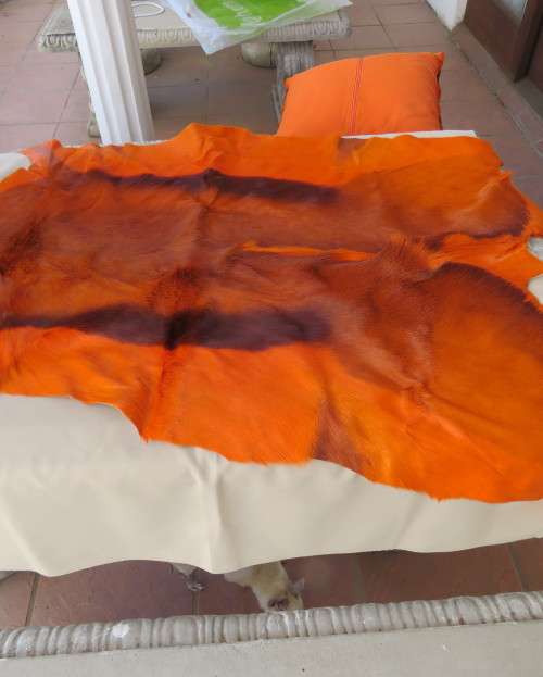 Stunning real Springbuck skin 106cm x 68cm in orange. Luxury soft feel.For display over couch/table.