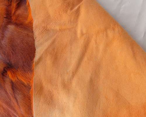 Stunning real Springbuck skin 106cm x 68cm in orange. Luxury soft feel.For display over couch/table.