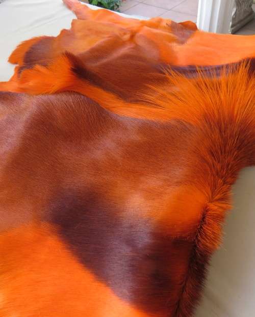 Stunning real Springbuck skin 106cm x 68cm in orange. Luxury soft feel.For display over couch/table.