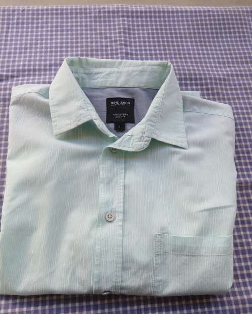 Best quality DAVID JONES pure cotton mint green/white striped short sleeve shirt in LARGE. New cond.