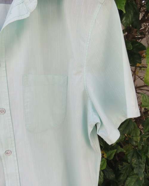 Best quality DAVID JONES pure cotton mint green/white striped short sleeve shirt in LARGE. New cond.