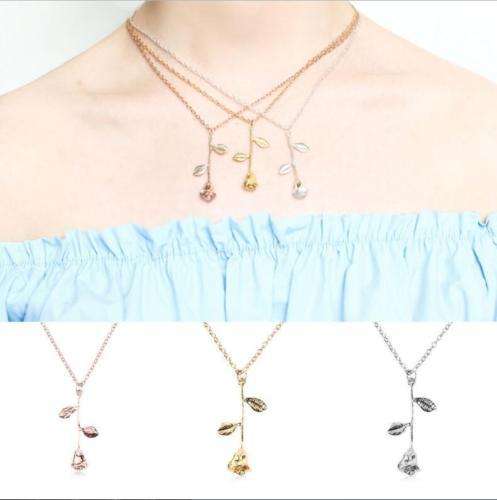 Beauty and the beast rose..-  LOW  SHIPPING SPECIAL**