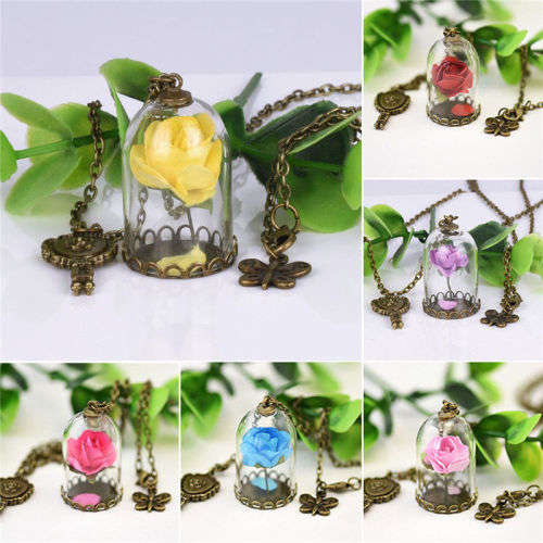 Beauty and the beast the last rose....