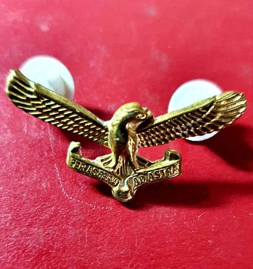 SAAF BRONZE WINGS.