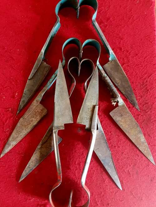 4 X VINTAGE SHEEP SHEARS.  IDEAL FOR KNIFE MAKING !!BID PER SHEARS.