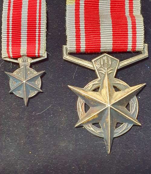 KOEVOET BEKAMPING VAN TERRORISME FULL SIZE MEDAL PLUS MINATURE MEDAL. NOT NAMED OR NUMBERED
