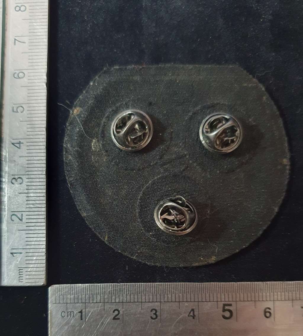 SAAF WARRANT OFFICER RANK. PINS INTACT.