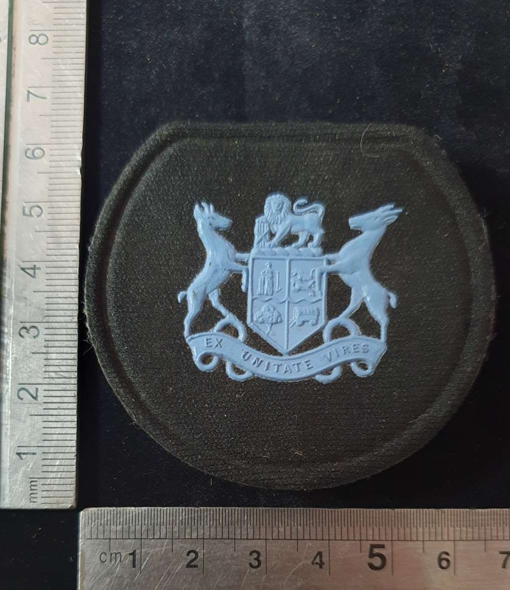 SAAF WARRANT OFFICER RANK. PINS INTACT.