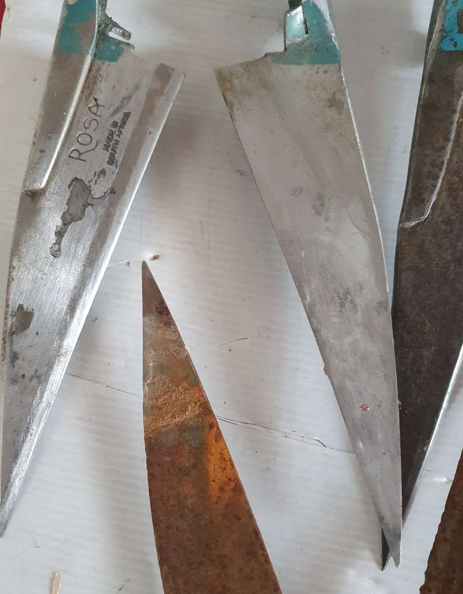 5 X VINTAGE SHEEP SHEARS . IDEAL FOR KNIFE MAKING. ONE BID FOR ALL.