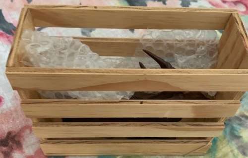 Beautiful Wooden SA Mint Eland figurine empty coin holder fits a 1oz coin