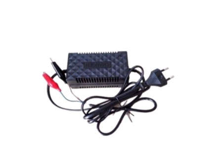 12V Battery Intelligent Charger