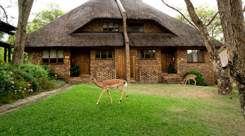 Weekend @ Kruger Park Lodge 25 Nov 2022 - 28 Nov 2022 (4 Sleeper)