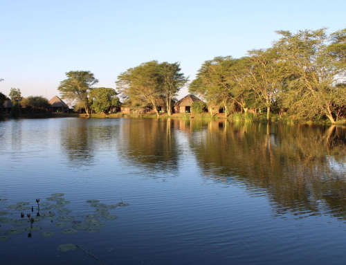 SCHOOL HOLIDAY MID WEEK @ Ngwenya 9 Jan - 13 Jan 2023 2 Bedroom 6 sleeper