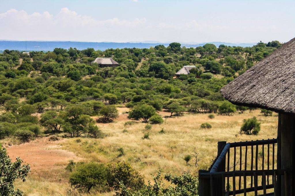 Midweek @ Monateng Safari lodge 14-18 October (4 sleeper ) 2 adults 2 kids under 12 years