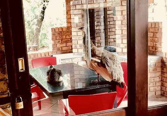 Weekend @ MAnzi MOnate 23-26 August 2024 (4 adults 2 kids)