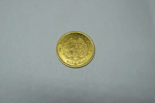 ZAR 7x Gold Half Ponde in one lot!