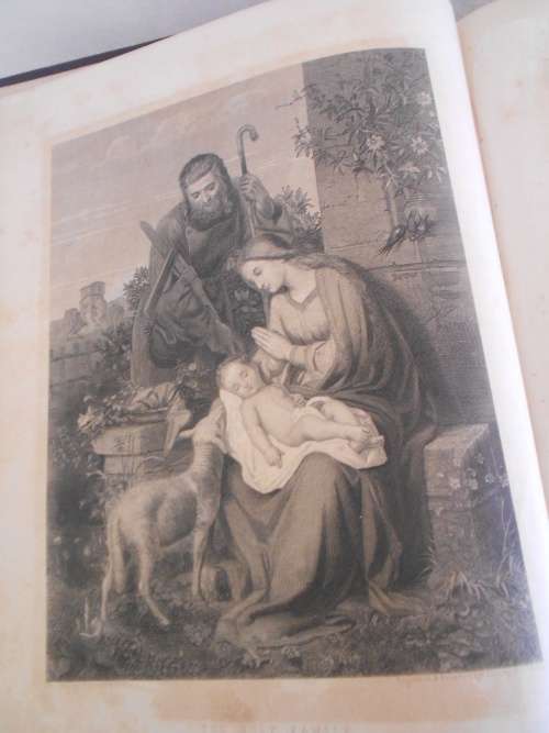 Antique Family Bible (1870's) : Leather-bound Featuring Harper and Rippon Families