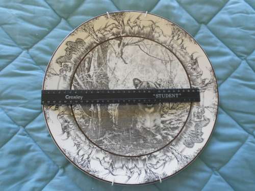 Large (34cm) Royal Doulton Collectors Plate, D6357 SA Series "Lioness" ": Great Condition