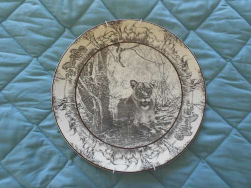 Large (34cm) Royal Doulton Collectors Plate, D6357 SA Series "Lioness" ": Great Condition
