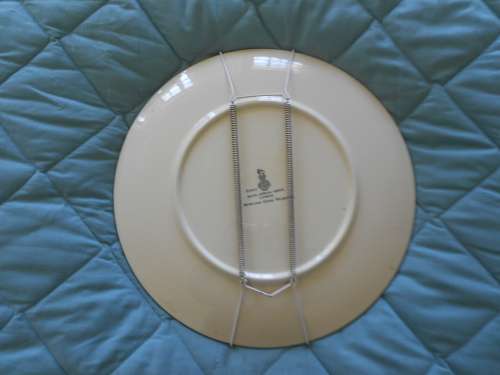 Large (34cm) Royal Doulton Collectors Plate, D6357 SA Series "Lioness" ": Great Condition