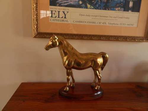 Majestic Statement Piece Heavy BRASS HORSE 22cm(H) 2.160kgs, Wooden Plinth, VG Con, Great Definition