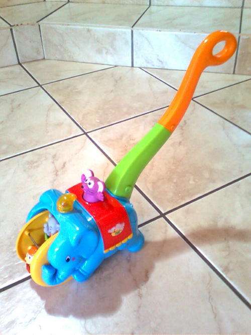 Jungle elephant push or pull