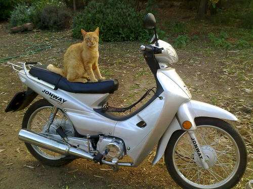 Jonway 125cc only 105km on the clock!!