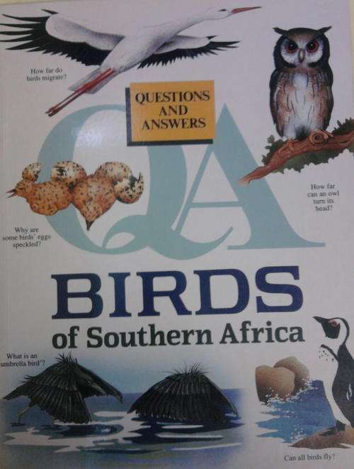 Questions and Answers -  Birds of Southern Africa  Softcover