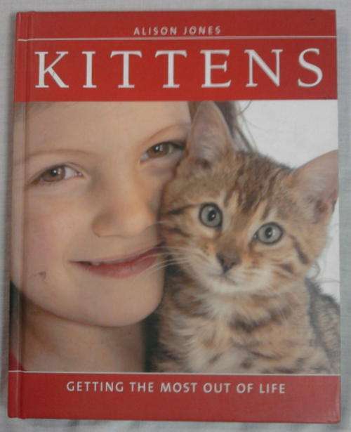 KITTENS  BY ALISON JONES HARDCOVER