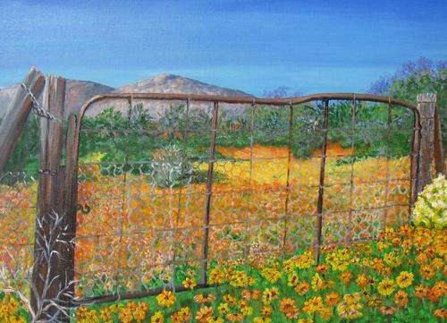 Flowers in full bloom in Potsberg Nature Reserve (594x420x18mm) by Doreen Fourie
