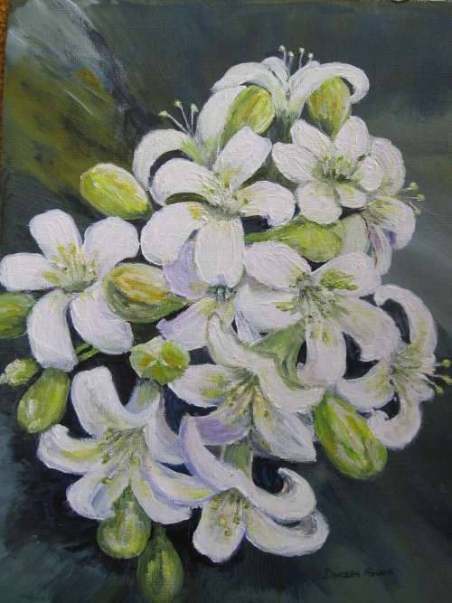 Original A4 acrylic painting on canvas by Doreen Fourie