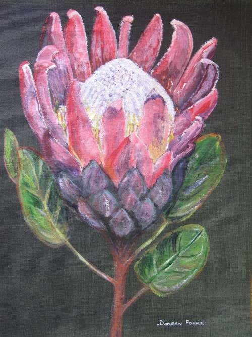 Original A4 acrylic painting on canvas by Doreen Fourie