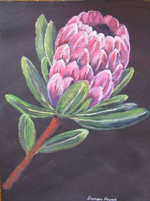 Original A4 acrylic painting on canvas by Doreen Fourie