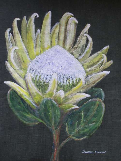 Original A4 acrylic painting on canvas by Doreen Fourie