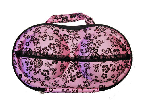 Bra and Panty Organiser