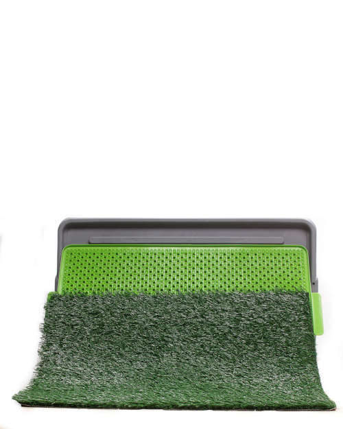 Potty Patch 43 x 68cm