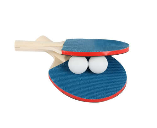 Table Tennis Play Set