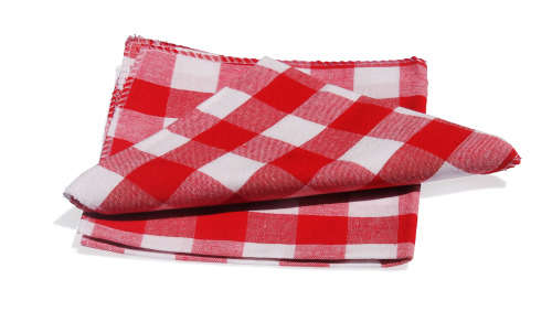 Fine Living - Deluxe Backpack Cooler with Blanket