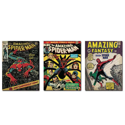 MARVEL SPIDERMAN 3 CANVAS SET