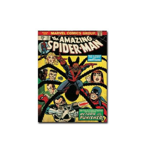 MARVEL SPIDERMAN 3 CANVAS SET