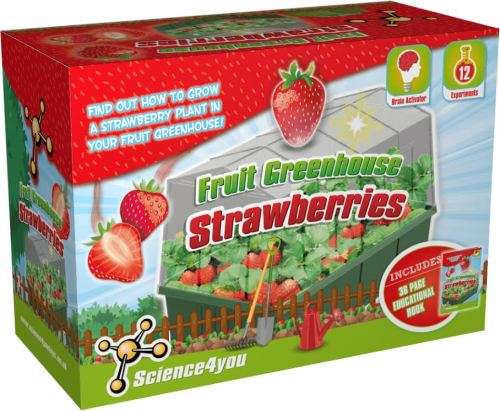 Science4You - Fruit Greenhouse - Strawberries