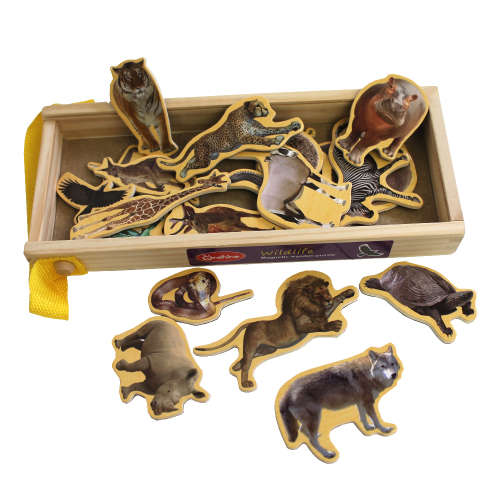 Wooden Magnetic mini puzzle