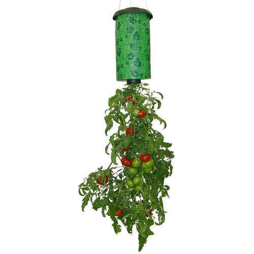 Tomato Grower - Get it Now!