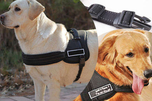 Pet - Dog Harness - Sports Medium