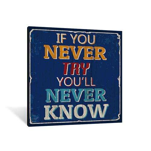 Canvas - Never Try  Never Know