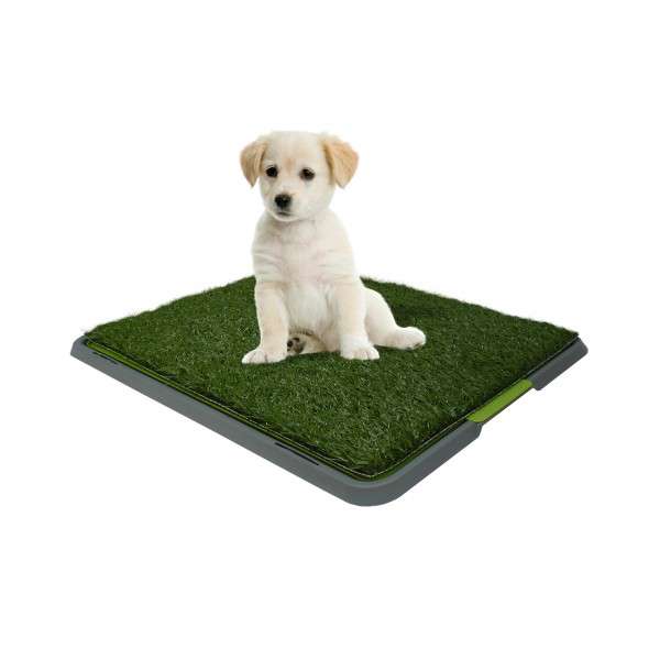 Dog Toilet - 17 x 27