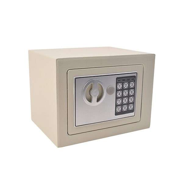 Electric Safe - Small