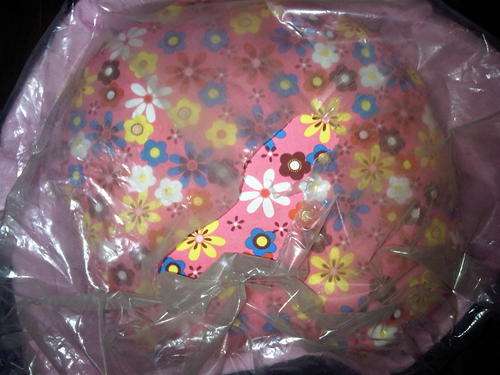 BRAND NEW STILL IN PLASTIC PET BED !!!