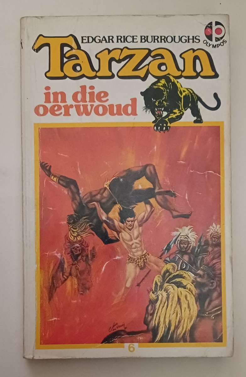 TARZAN 6 - IN DIE OERWOUD